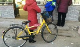 石家庄单车爆料案件最新,真相与争议交织的骑行疑云